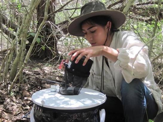 A student sits outdoors amidst dense vegetation, wearing a wide-brimmed hat and long-sleeve shirt. A small round table in front holds scientific equipment, possibly for environmental research.